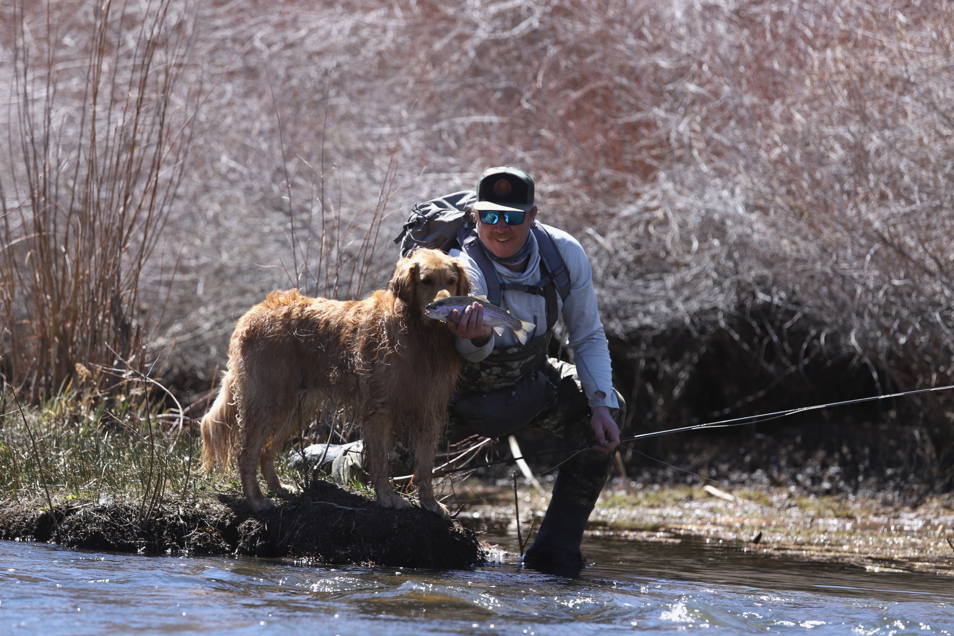 Guide crouching at the water's edge, golden retriever nose-to-fish, small trout held up in hand