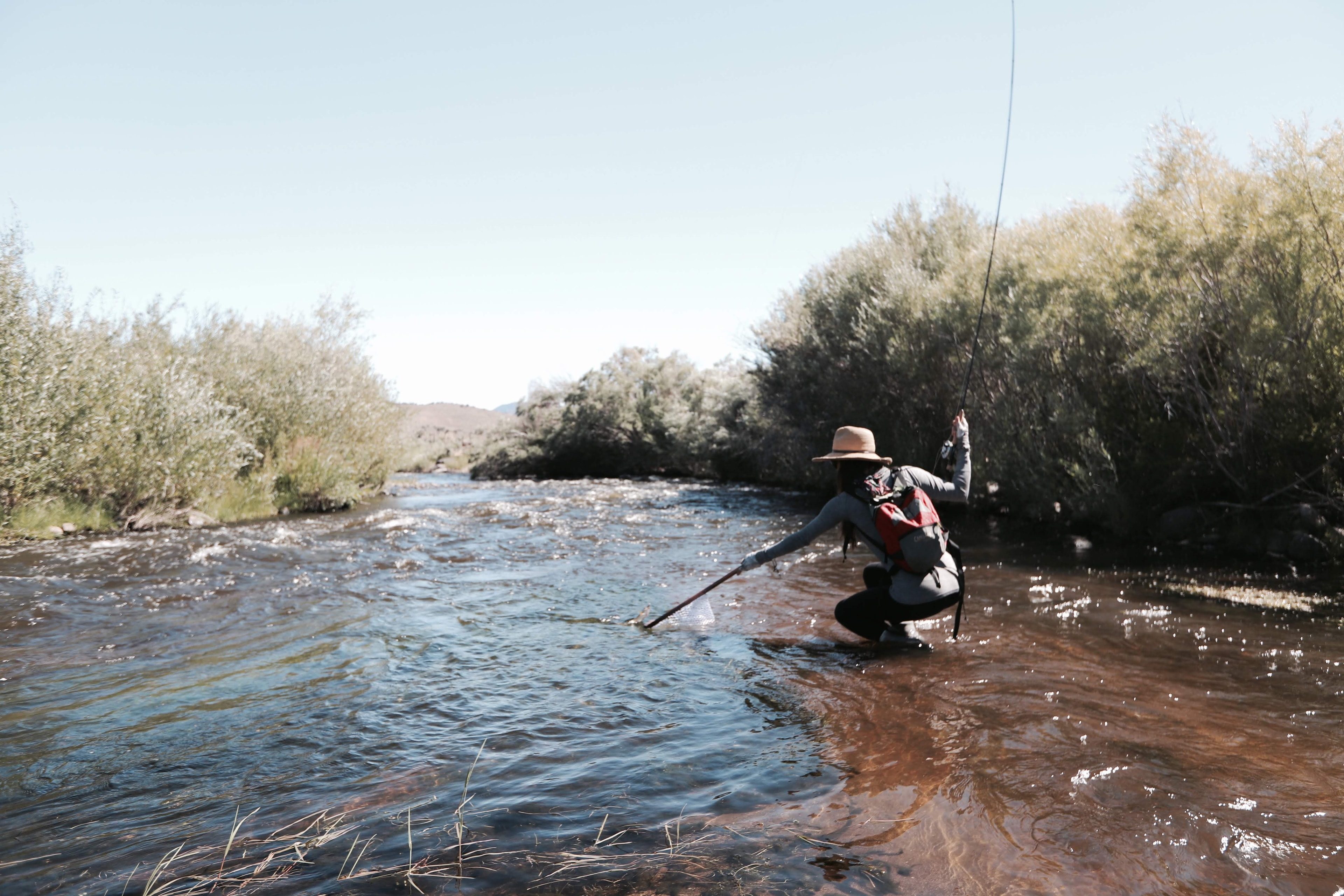 Fly fisherman casting on the East Walker River