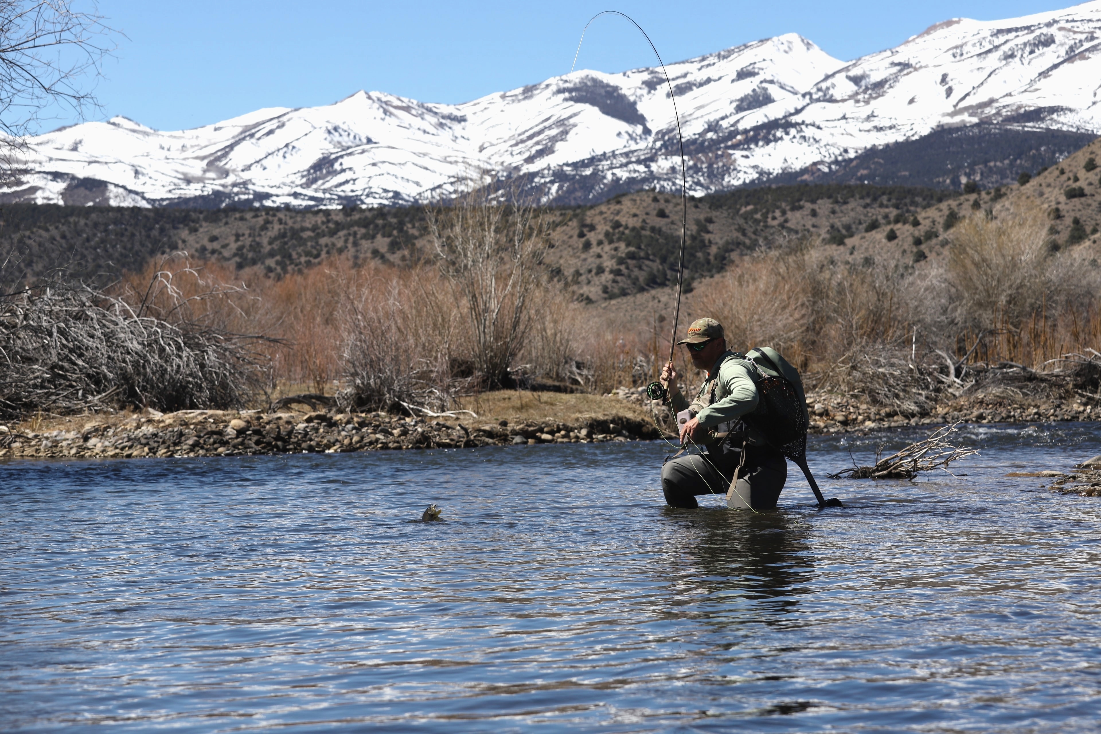 Guide and angler with a leaping brown trout splashing on the East Walker River