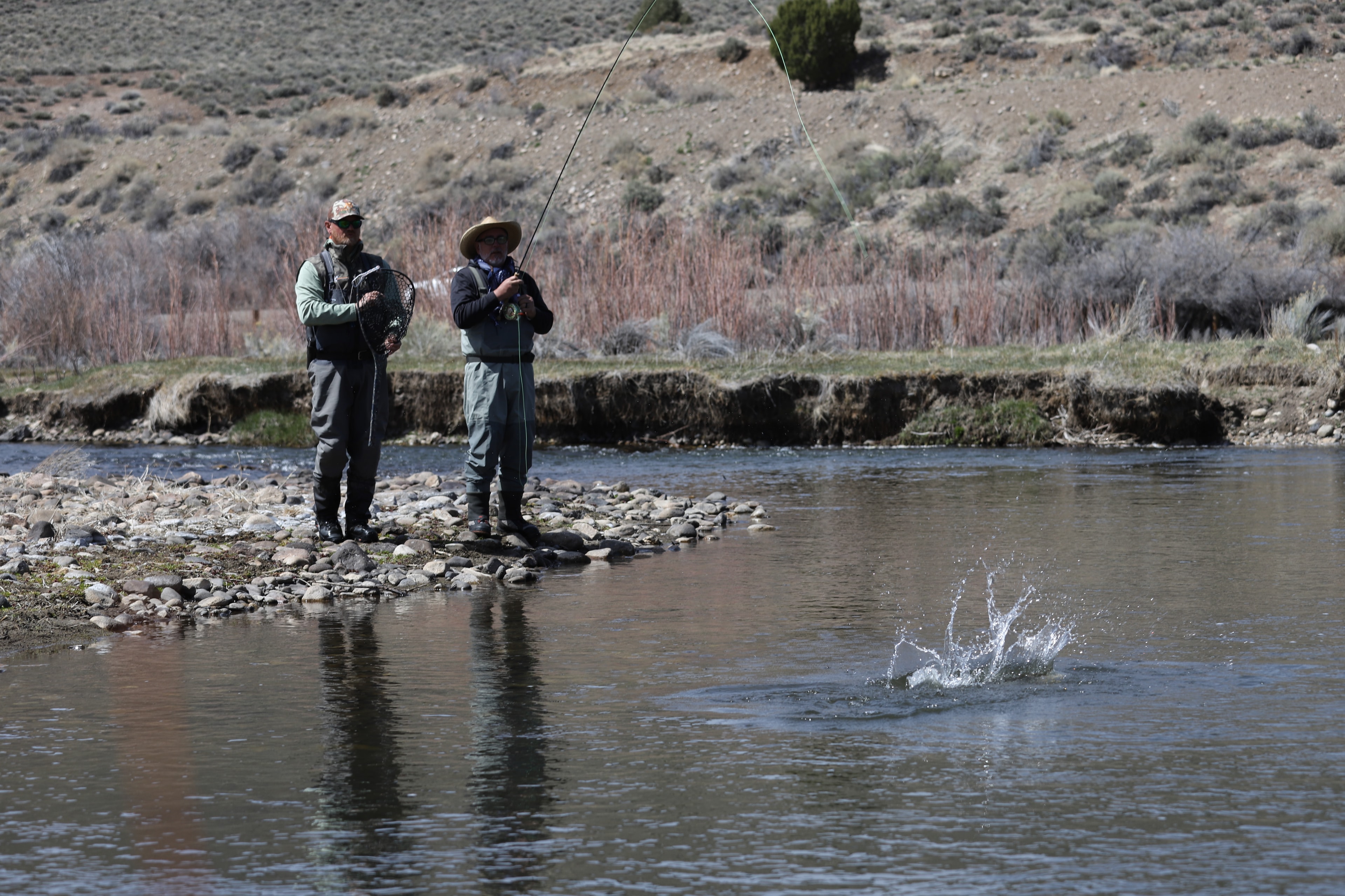 Guide and angler with a leaping brown trout splashing on the East Walker River