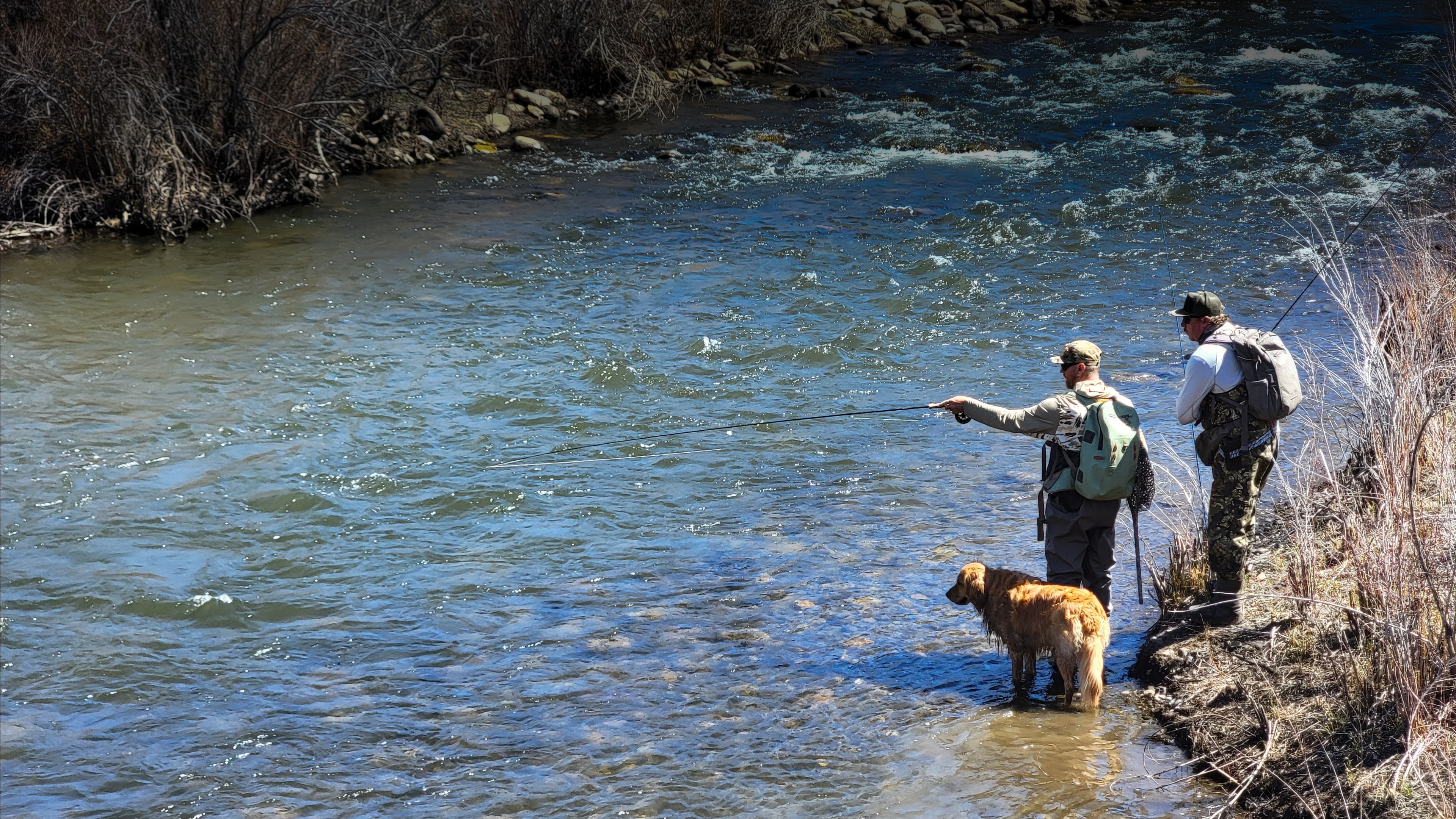 Guide and anglers with dog wading the East Walker River, Wassuk Range in the background